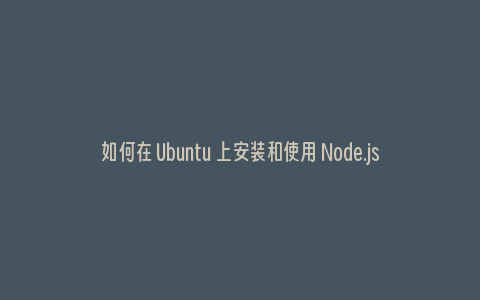 如何在 Ubuntu 上安装和使用 Node.js